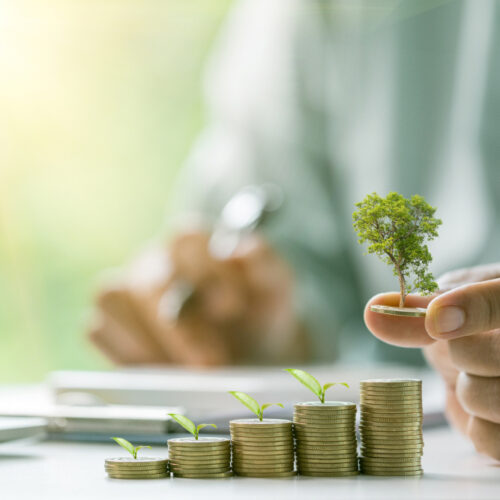 5 Promising Business Investment Opportunities