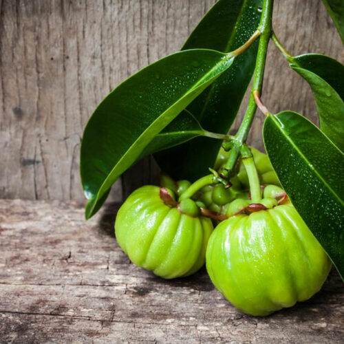 Garcinia cambogia – Know what you consume